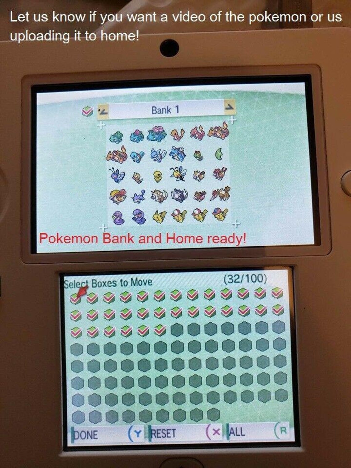 Pokemon soul silver promo pokedex