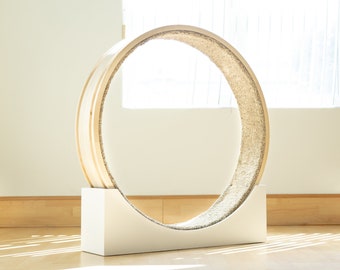 wall mounted cat wheel