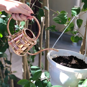Può includere: Un annaffiatoio di rame con un beccuccio lungo utilizzato per annaffiare una pianta in vaso. La pianta è in un vaso di plastica bianco e pende da un gancio.