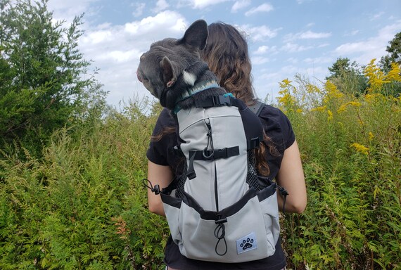 etsy dog backpack