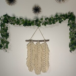 Feather Macrame Wall hanging
