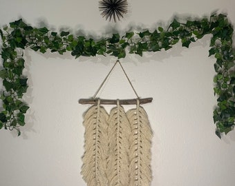 Pluma Macrame Pared colgando