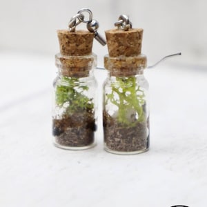 Terrarium Earrings: Miniature Jar, Hypoallergenic Stainless Steel