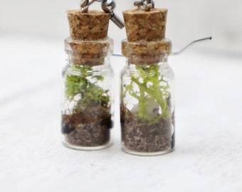 Terrarium Earrings: Miniature Jar, Hypoallergenic Stainless Steel