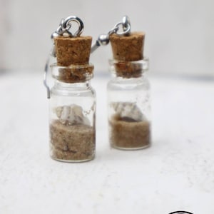 Mini Seashell Jar Earrings: Hypoallergenic Stainless Steel