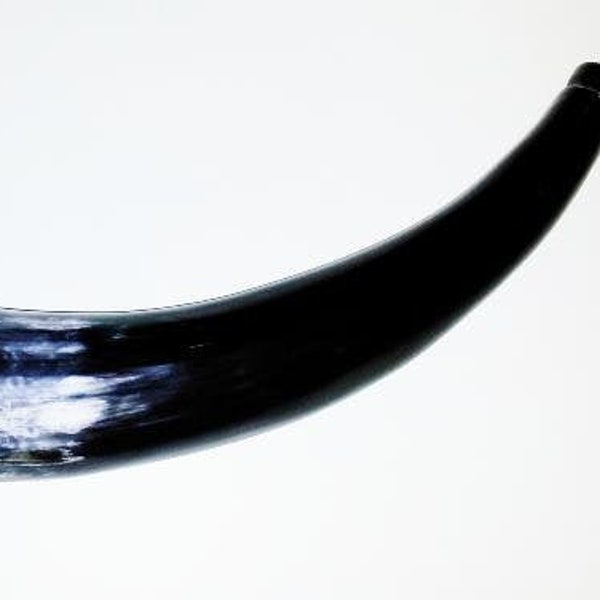 Corne médiévale ou Viking à souffler ou olifant en corne de Zébu.