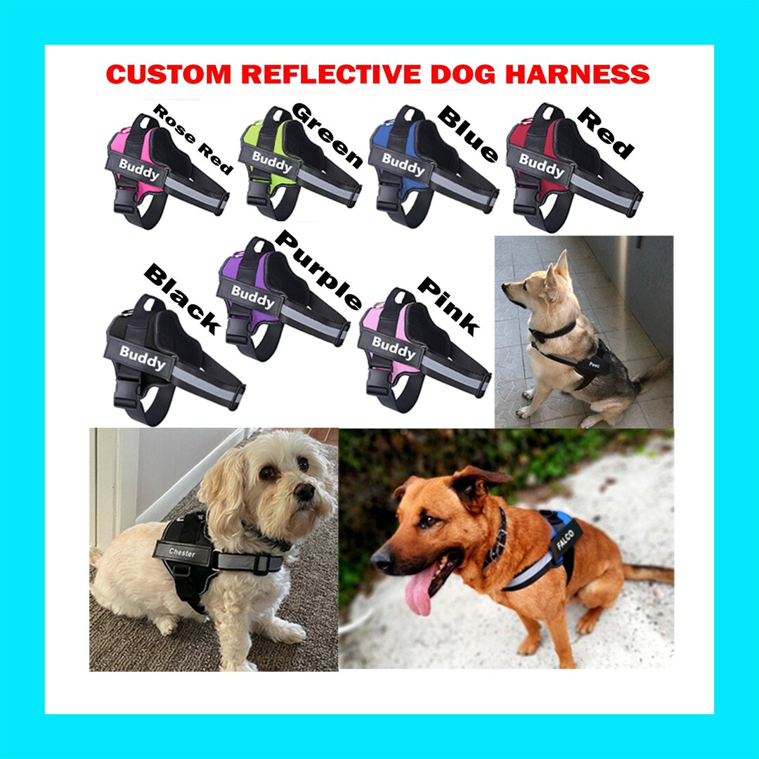 Reflective Dog Harness With Name and Phone Number Patch, Custom Dog