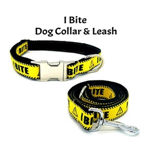 I Bite Dog Collar & Leash. Warning Dog Collar. Personalized Engraved Dog Collar. Hazard Dog Collar, Yellow Dog Leash