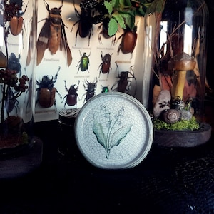 VINTAGE ATH BOTANICAL wall plate, mini plate, lean, Herbal plate, Botanical pottery, botany plate, Botany, vintage wall plate, wall decor