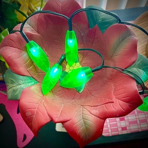 Poinsettia bird bath / feeder