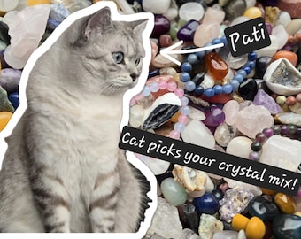 Cat Picks Crystal Confetti Bags | Cute cat lover gift christmas gift crystal confetti scoops cat picks your stones british shorthair crystal
