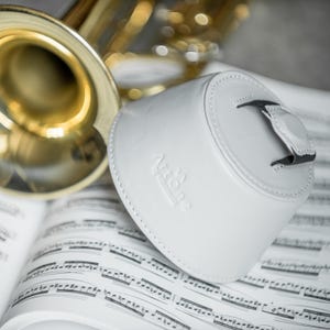 May include: A white leather case with the text "Artone by Selmer" embossed on the side. The case is next to a brass saxophone and sheet music. The case has a black strap and is designed to protect musical instruments.