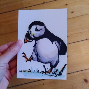 Puffin Puffin Postcard Greeting Card Ink Watercolor Painted image 3