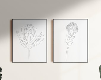 Two Line Art Protea Prints - Digital Download