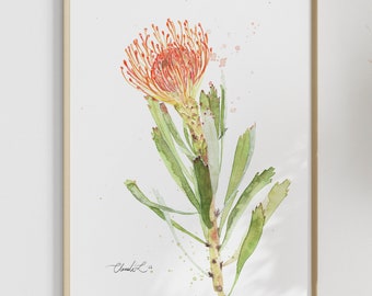 Alfiletero naranja Fynbos Lámina artística