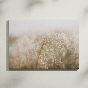 Abstract Nature - Canvas Print