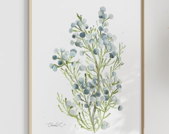 Impresión artística de acuarela de fynbos floral