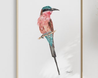 Impresión artística de abejaruco carmín en acuarela