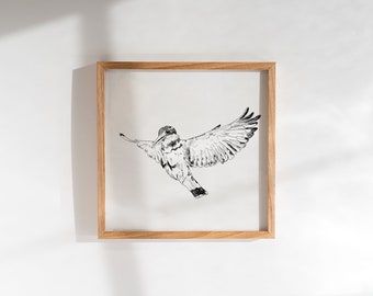 Line Art Kingfisher Print - Digital Download