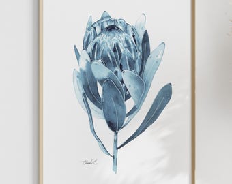 Impresión artística en acuarela de protea azul índigo