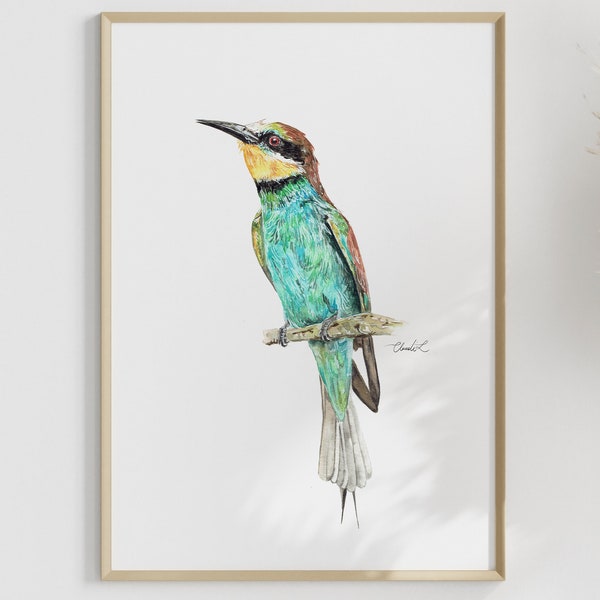 Watercolor European Bee-eater Art Print