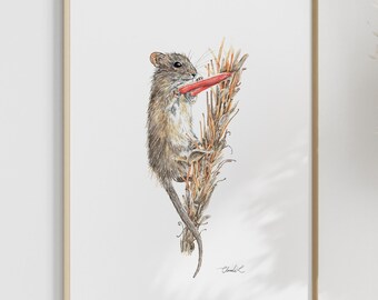 Watercolor Four-striped Grass Mouse - Art Print