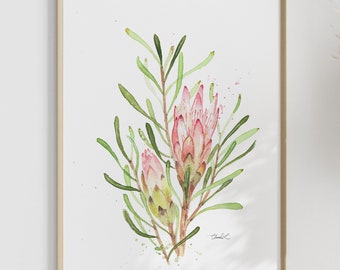 Acuarela de arbusto de azúcar Lámina artística