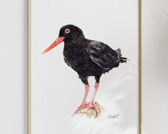 Impresión artística de ostrero africano en acuarela