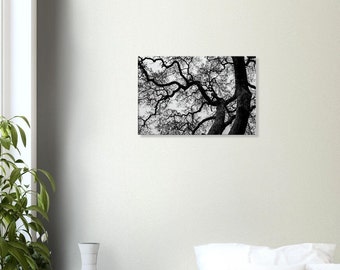 Árbol abstracto en blanco y negro - Cuadro en lienzo