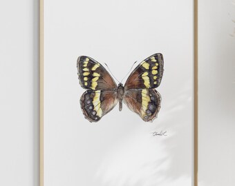 Watercolor Table Mountain Beauty  Butterfly - Art Print