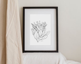 Line Art Protea - Digital Print