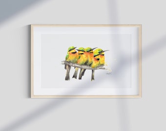 Impresión artística de abejarucos en acuarela