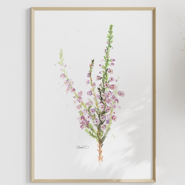 Watercolor Fynbos Erica Art Print