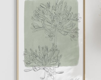 Arte lineal moderno de flores de agapanto n.° 2