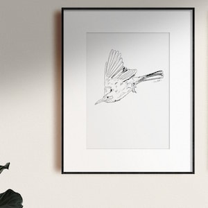 Line Art Bee-eater Print - Digital Download