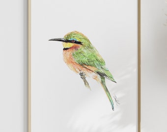 Impresión artística de un pequeño abejaruco en acuarela