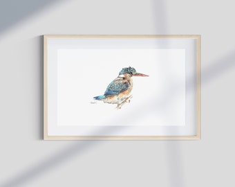 Impresión artística de acuarela de un martín pescador de malaquita