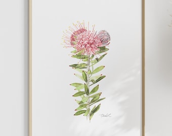 Watercolor Strawberry Pincushion - Art Print