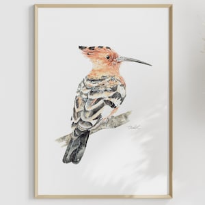 Impresión artística de abubilla africana en acuarela