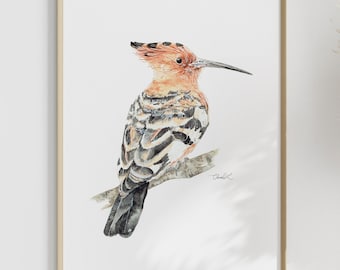 Impresión artística de abubilla africana en acuarela