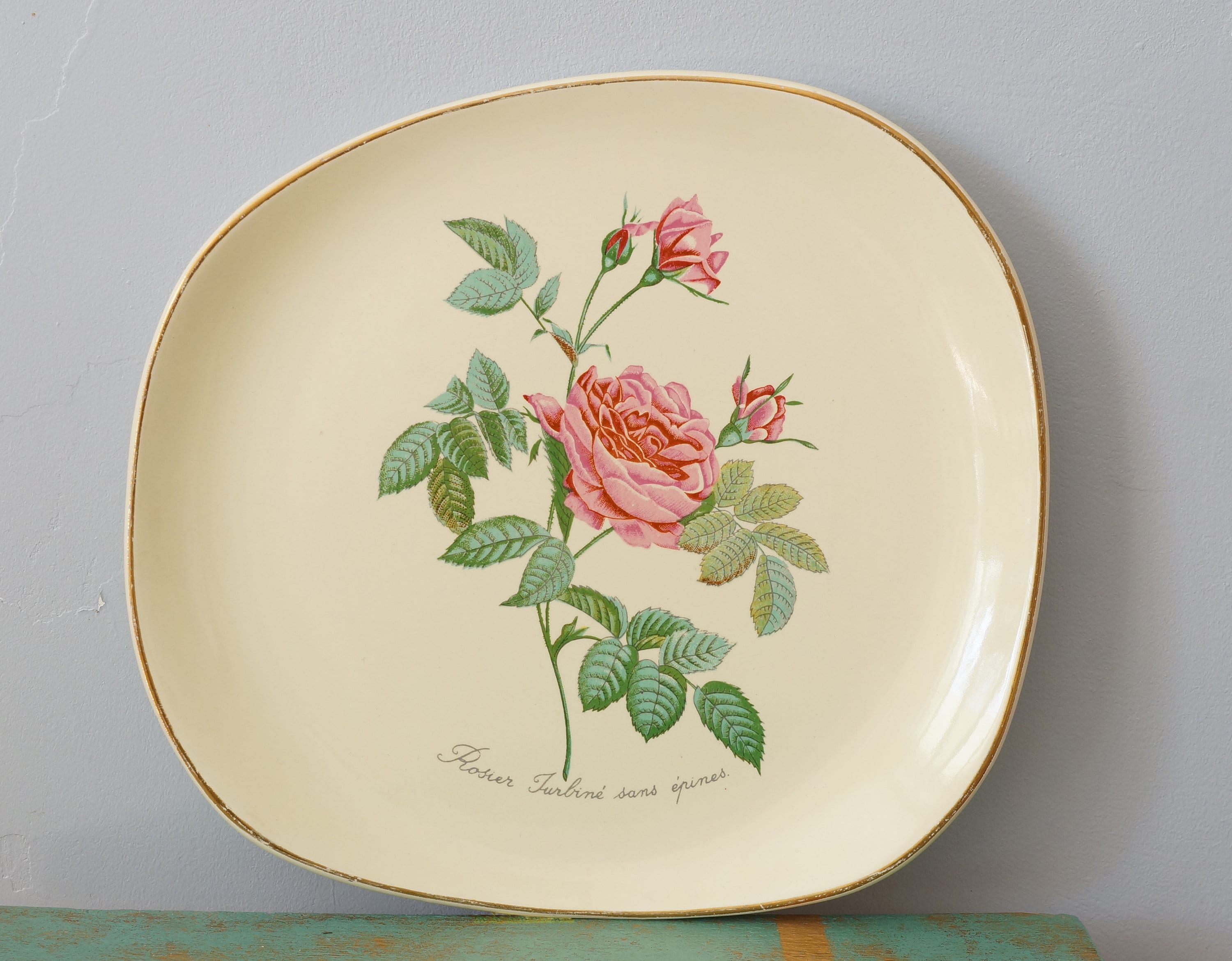 Assiette ou Plat Années 60 Motif Rose, Salins Courseulles