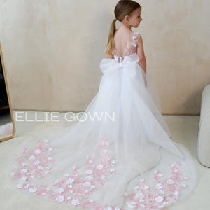 Blush Pink Lace Girl Dress, Tulle Flower Girl Dress, Soft Pink Lace flower girl dress, Tutu Girl dress with train