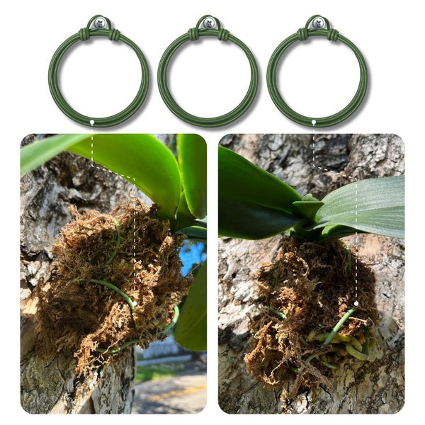 Orchid hanger for tree. 3 UNITS