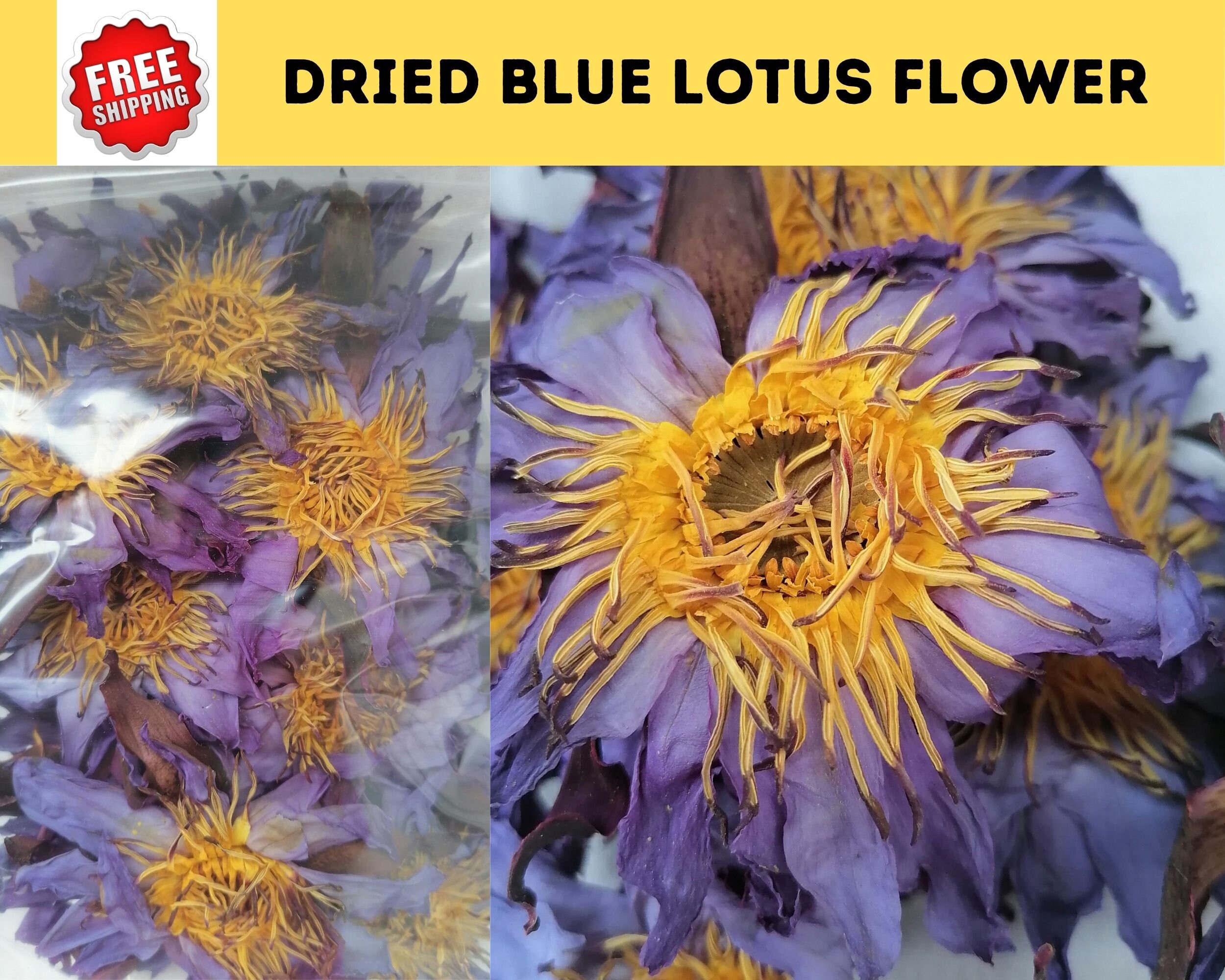 DRIED BLUE LOTUS Flower100 Organic Sacred Blue Lotus Etsy