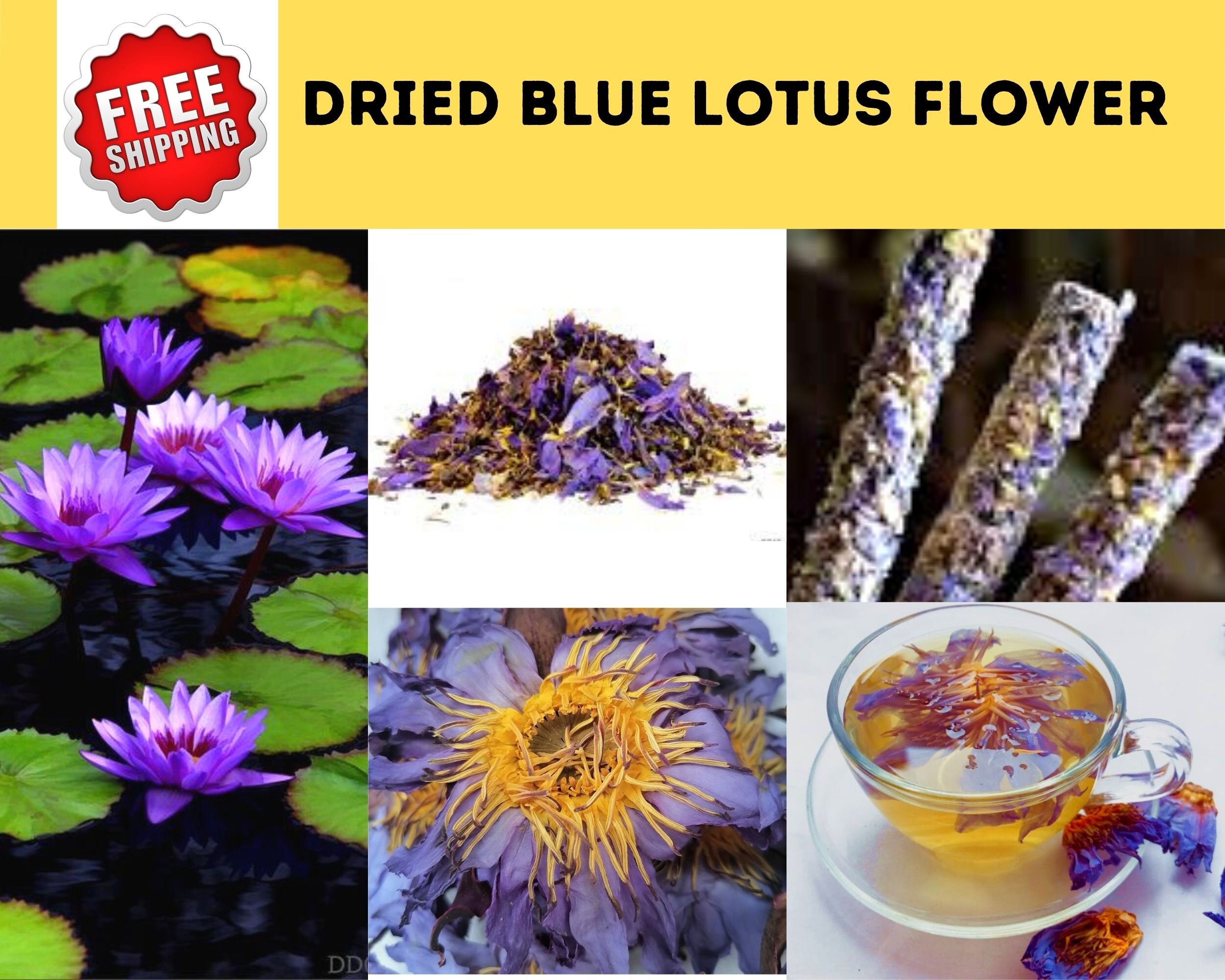 DRIED BLUE LOTUS Flower100 Organic Sacred Blue Lotus Etsy