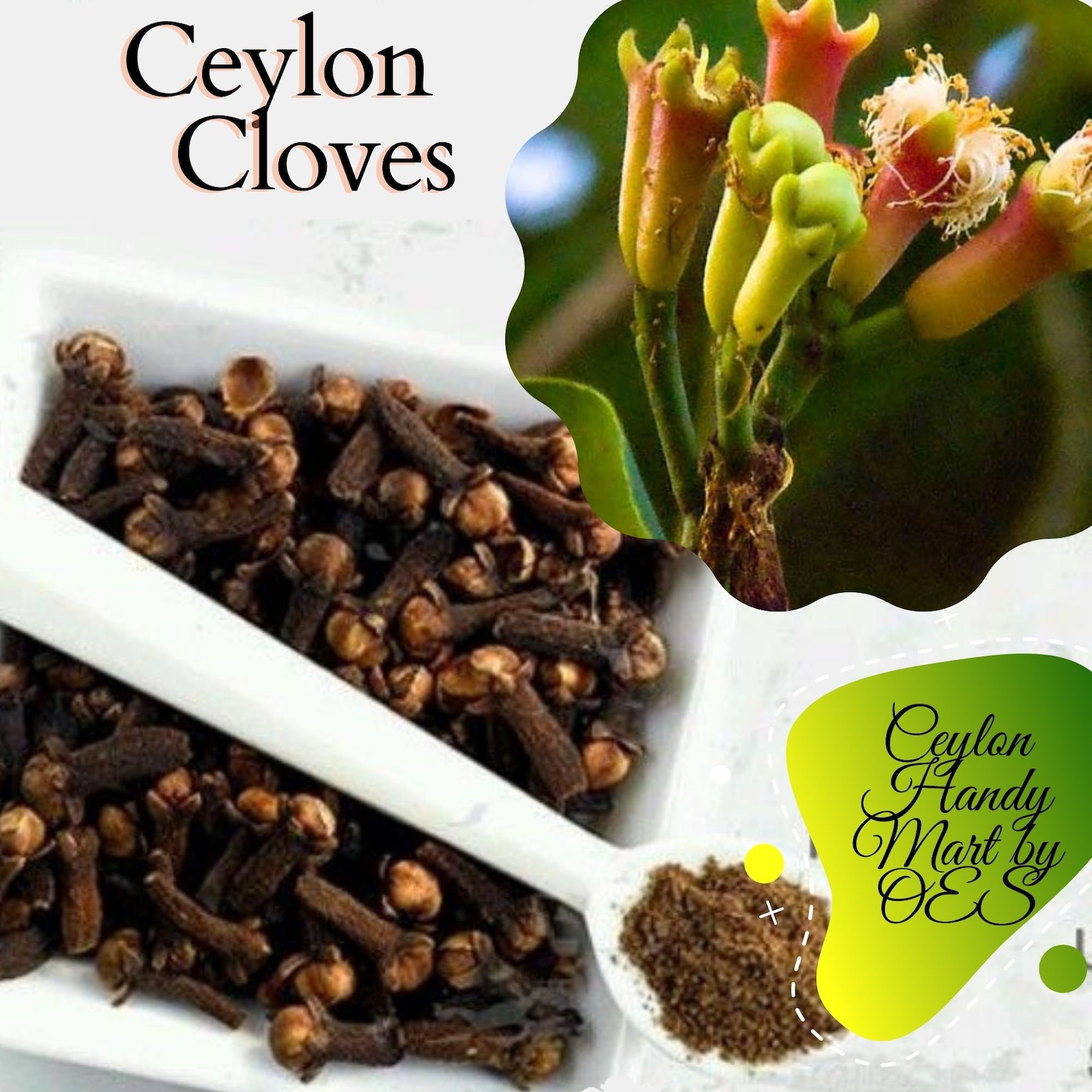 Original Ceylon Cloves Organic herbs Clavo de olor Etsy