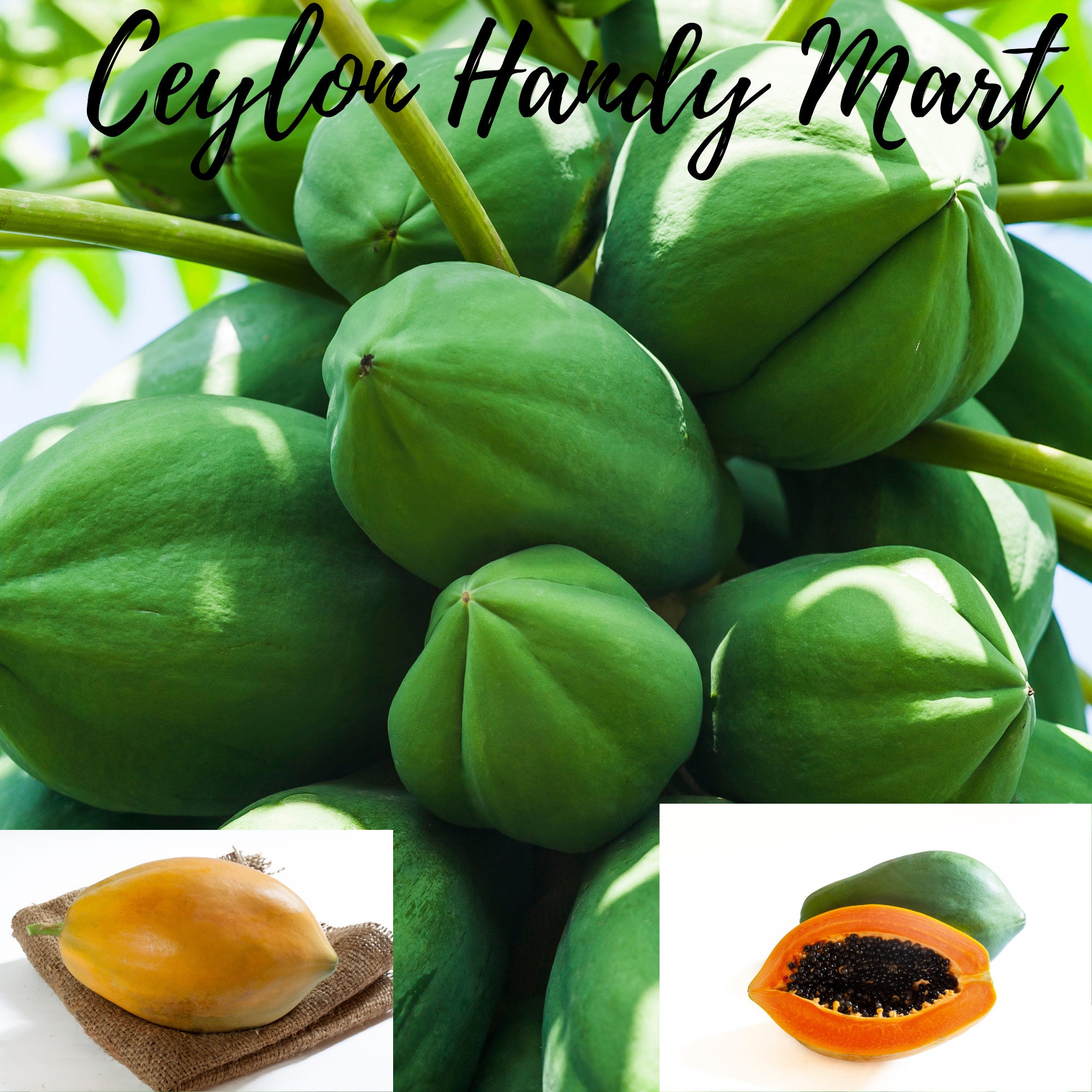 Dried Papaya Seeds Powder 100 Organic Natural Etsy