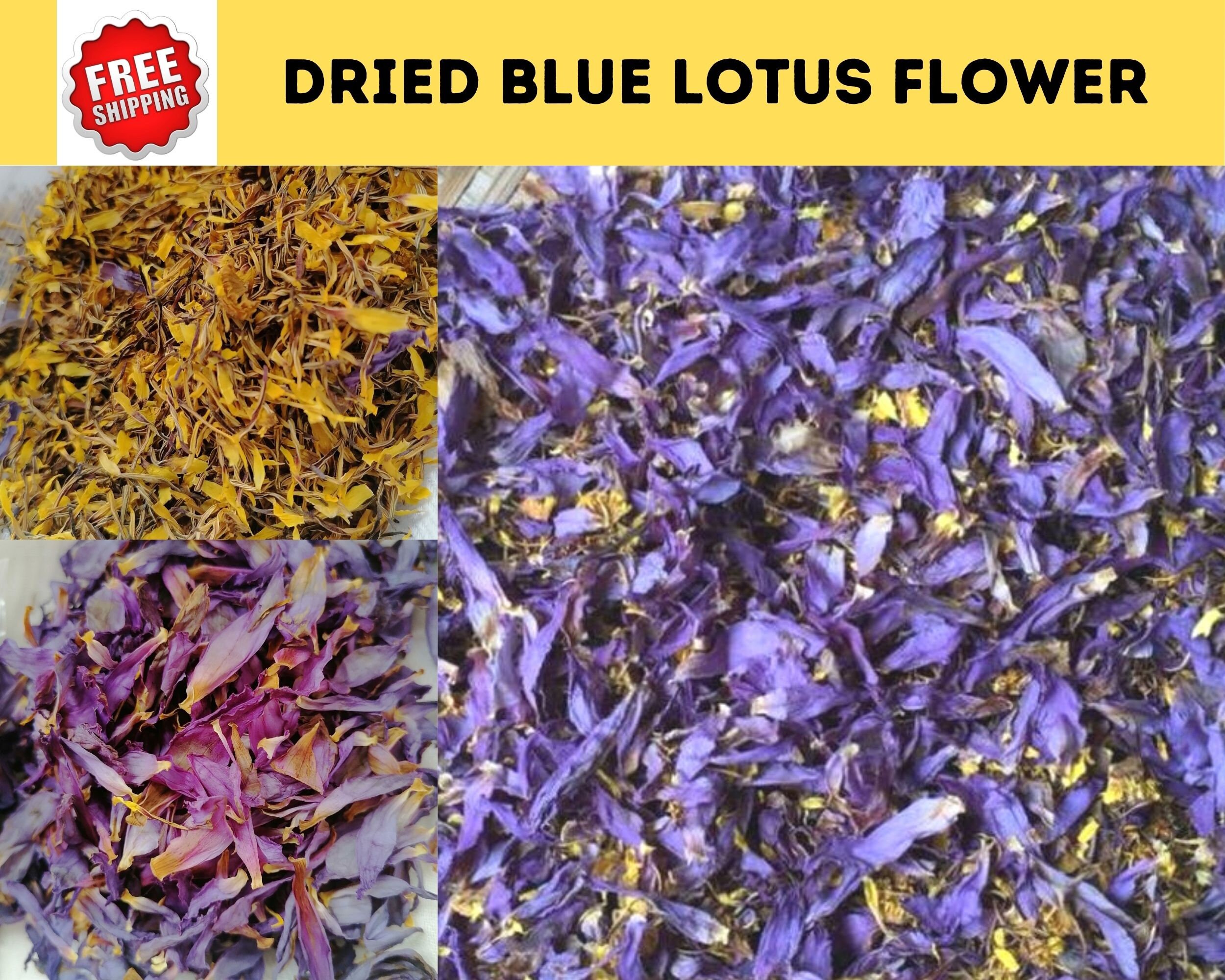 DRIED BLUE LOTUS Flower100 Organic Sacred Blue Lotus Etsy