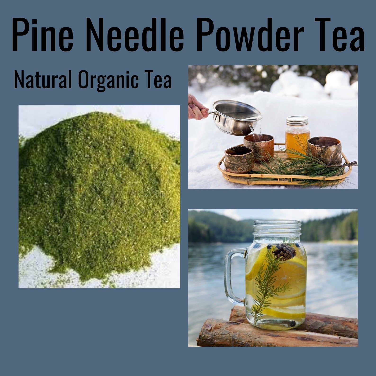 Pine Needle Powder Tea Pure Organic Edible Natural Tea 200 Etsy