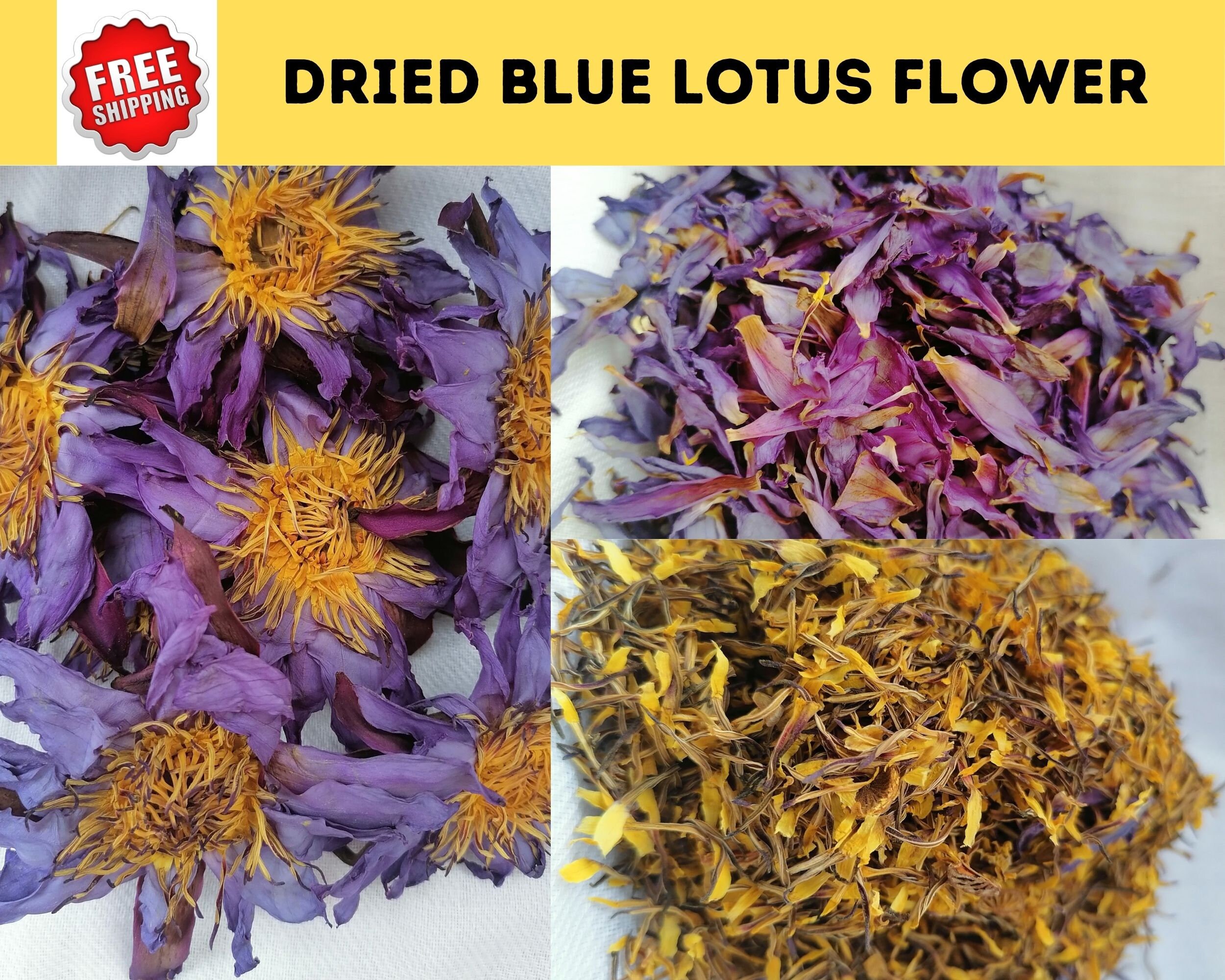 DRIED BLUE LOTUS Flower100 Organic Sacred Blue Lotus Etsy